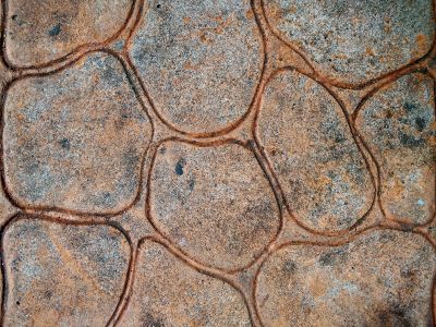 Stamped Concrete in Spring